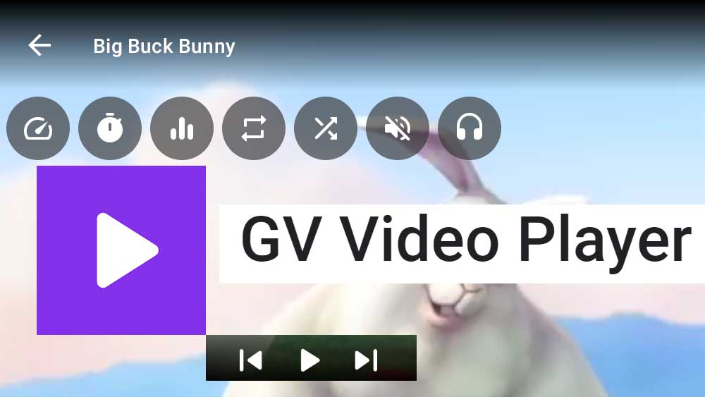 GV Video player